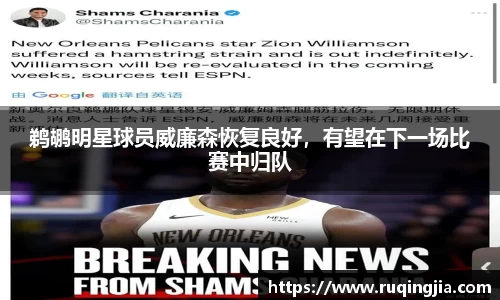 鹈鹕明星球员威廉森恢复良好，有望在下一场比赛中归队