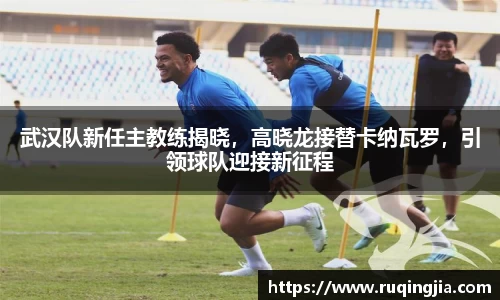 武汉队新任主教练揭晓，高晓龙接替卡纳瓦罗，引领球队迎接新征程
